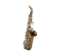 Saxophone Music Instrument Alto E Flat Saxophone Music Instrument
