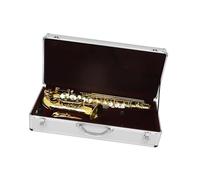 Saxophone Professional Alto Saxophone Brass Instrument E Beginner Set And Accessories(Alto Saxophone 2)