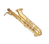 Saxophone Professional Baritone E Flat Saxophone Brass Sax Wind Musical Instruments With Mouthpiece And Case (Color : 01)