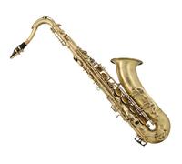 saxophone Professional Students B Flat Saxophone Students Practice Playing General Saxophone