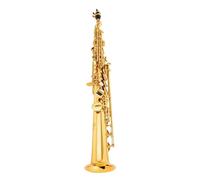 Saxophone Saxophone Gold Nickel B Flat Saxophone Straight With Accessories (Color : 03)