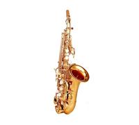 Saxophone Saxophone Instrument Small Bent Pipe B Flat Adult Beginner Professional Playing Instrument
