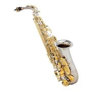 saxophone set E-drop Alto Saxophone Wind Instrument Suitable For Beginners Adult Performance-grade Saxophone Accessories Complete (Color : Silver)