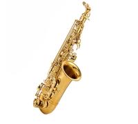 saxophone set E Flat Alto Saxophone Wind Instrument Exam Professional Performance Golden Beginner With Leather Case