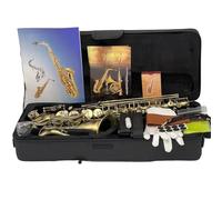 saxophone set Professional Alto Saxophone Antique Deep Engraved Keys Gold-plated Alto Sax Instrument (Color : Light Grey)