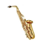 saxophone set Professional Alto Saxophone Gold Key Super Musical Instrument Gold Sax (Color : 875)