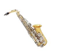 saxophone set Sax Glossy Brass Engraved Eb E-Flat Shell Button Wind Instrument With Case Mute