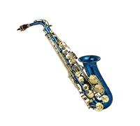 saxophone set Suit Brass Engraved Eb Alto Saxophone Sax Buttons Wind Instrument With Case Gloves