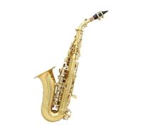 saxophone set Treble Saxophone Brass Golden Carve Pattern Sax Buttons Mouthpiece Reeds Neck Wind Instrument Accessories (Color : Gold Silver)