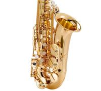 Saxophone Sets BE Alto Saxophone Beginner Introduction Level Examination Adult Performance(1)
