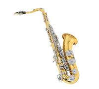 Saxophone tenor B flat set with portable bag mouthpiece cleaning brush accessories professional woodwind instrument Beginner Saxophone