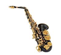 Saxophones Alto Saxophone Unique Matte Black Blue Red Purple Nickel Plated Carved Surface E Flat Instrument Sax With Case(Black)