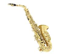 Saxophones For Music Lovers Alto Saxophone Set Professional Woodwind Instruments