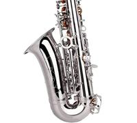 Saxophones For Music Lovers Silver Eb Alto Saxophone For Beginners Adults Brass Woodwind Instrument(Silver)