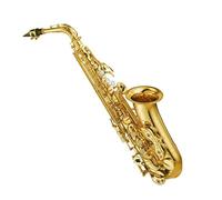 Saxophones Professional Alto Drop E Saxophone Gold Alto Saxophone With Band Piece Reed Aglet(Gold)
