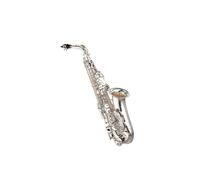 Saxophones Professional Alto Drop E Saxophone Gold Alto Saxophone With Band Piece Reed Aglet(Silver)