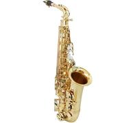 Saxophones Professional Alto Saxophone With Eb Tone Gold Lacquered White Shell Brass Material Instrument
