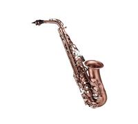 Saxophones Professional Red Bronze Bend Eb Alto Saxophone