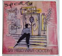 Say Hello Wave Goodbye