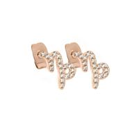 Say It With Capricorn Earrings with CZ Stones - Rose Gold