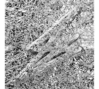 Say She She - Silver [VINYL]