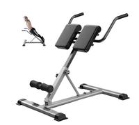 SAYEYBU Adjustable Roman Chair Bench, Hyperextension Equipment for Back and Ab Workouts, Optional Adjustment Incline with Core Trainer Function, Home Gym Lower Body and Leg Workout Machine,Grey