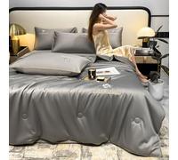 SAYEYBU Summer Simple Ice Silk Quilt, Premium Cool Ice Silk Summer Comforters, Washable Ice Silk Simple Air Conditioning Comfoter Quilt Blanket Air Conditioning Quilts for Sleeping,C6,200X230cm