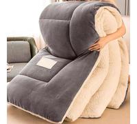 SAYEYBU Thickened Super Warm Winter Quilt, Heavy Warm Winter Quilts, Super Soft Lambswool Comforter Core Bedding, Thickened Double Sided Fluffy Lamb Fleece Quilted Quilt Blanket,A,200x230cm 3kg