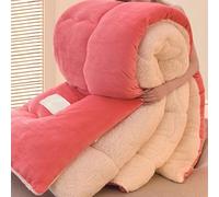 SAYEYBU Thickened Super Warm Winter Quilt, Heavy Warm Winter Quilts, Super Soft Lambswool Comforter Core Bedding, Thickened Double Sided Fluffy Lamb Fleece Quilted Quilt Blanket,C,150x200cm 2.5kg