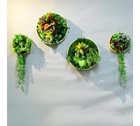 SAyfur Hanging Wall Artificial Plants Sets, Green Plant Wall Decor, Moss Frame With Fern Flowers Home Decor Wall Art for Room Office B