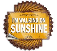 Saying Wall Scratch Resistant Decals, Custom Matte Print for Phone Case Dry | House Accessories for Home Uv Proof Pack I'm Walking On Sunshine(12X18CM)