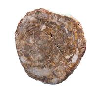 SAYOBO 1pc 700-800g Tree Stone Slice Quartz Crystal Ore Degaussing Decor