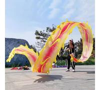 SAYOBO Ribbon Dance Juggling Dragon Poi Ribbon Flag, Flinging Dancer Scales Dragon with Head, Square Exercise Dragon Streamer Kite Washable for Crafts, Flying Play Set(Colorful3,10 m/33ft long)