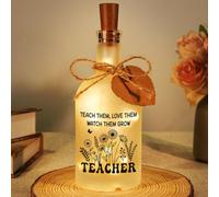 Sayregifty Teacher Appreciation Gifts: Teach Them Love Bottle Light | Heartfelt gift for educators - "Teach Them, Love Them, Watch Them Grow". A warm LED night light keepsake