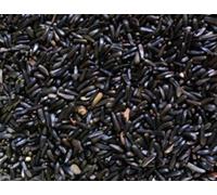 SB Niger Seed 750 gms, Wild Bird Feed/Seed, Nyger Seed, Nyger Feed