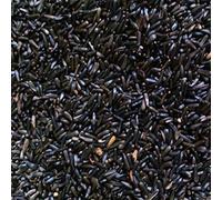 SB Nyjer Seed 500 gms, Wild Bird Feed/Seed, Niger Seed, Nyger Feed