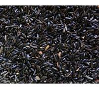 SB Nyjer Seed 750 gms, Wild Bird Feed/Seed, Niger Seed, Nyger Feed