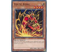 SBC1-ENF03 Voltic Kong