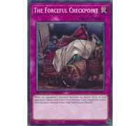 SBC1-ENF19 The Forceful Checkpoint