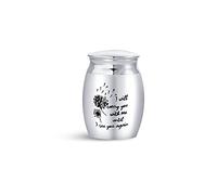 SBI Jewelry Small Urns for Ashes Human Grandpa Mum Dad Grandma Daughter Memorial Mini Cremation Adult I Will Carry You Keepsake Holder Gift Funeral