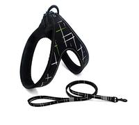 SBJKLYRN Dog harness, Leash Set Reflective Dog Harnesses And Walking Training Dogs Harness Vest For Puppy Large Pet Leashes E S(A,M)