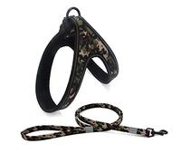 SBJKLYRN Dog harness, Leash Set Reflective Dog Harnesses And Walking Training Dogs Harness Vest For Puppy Large Pet Leashes E S(G,S)