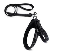 SBJKLYRN Dog harness, Leash Set Reflective Dog Harnesses And Walking Training Dogs Harness Vest For Puppy Large Pet Leashes E S(C,L)