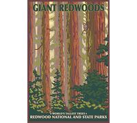 SBKGBIEHG Giant Redwoods World'S Tallest Trees Redwood National And State Parks Metal Sign Vintage Decor Art Sign Home Kitchen Bar Cafe Club Cave Wall Decor Retro Tin Sign 20x30cm