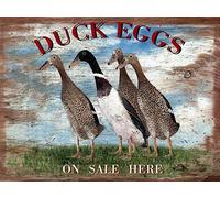 SBKGBIEHG Metal Sign Duck Eggs Funny Retro Sign Home Kitchen Bar Cafe Club Cave Wall Decor Vintage Tin Sign 20x30cm