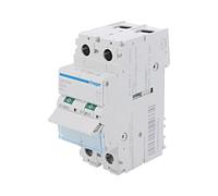 SBN299 Load Break Switch Pole: 2 DIN 125A 400VAC SBN IP20 1-16mm² HAGER