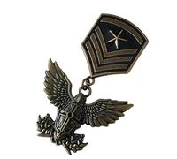 Sbshiouu Antique Enthusiast Badge Historical Value Collectible Emblems Badge Metal Pin for Clothes
