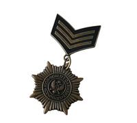 Sbshiouu Antique Enthusiast Badge Historical Value Collectible Emblems Badge Metal Pin for Clothes
