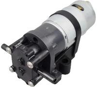 SBSSYVLMV Sewage/Effluent Pumps DC 12V 24V Electric Gear Pump C5XX Food Grade Hot Water Dispenser 1.2-2.5LPM oily liquid delivery solvent transfer(C512-2800)