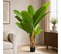 SC FURNITURE LIMITED Artificial Banana Tree Plant 190Cm Yd197W